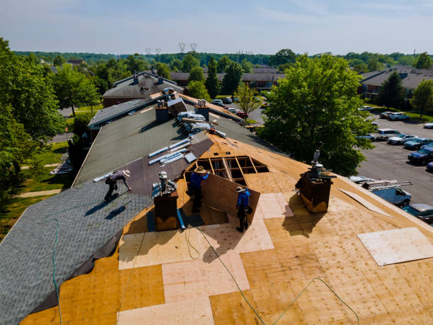 Best Shingle Roofing Installation  in Washburn, ND
