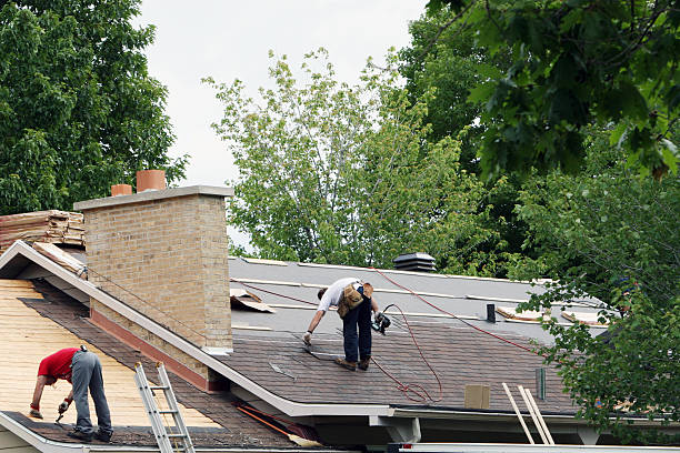 Best Local Roofing Companies  in Washburn, ND