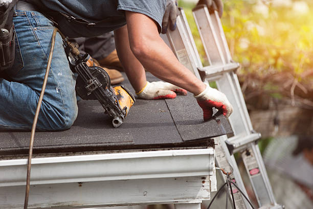 Best Roof Repair Services  in Washburn, ND